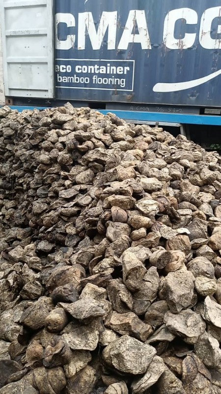 Naturkautschuk from Ghana